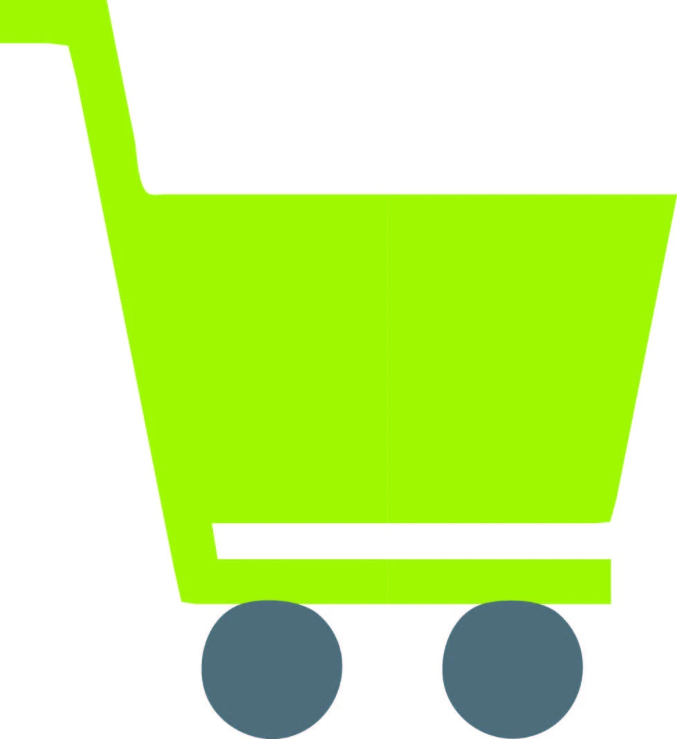 Veronit_google_ads_shopping_ads